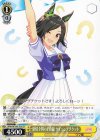  UMA/W106-T05 TD 感情全開の正直娘 ウイニングチケット 