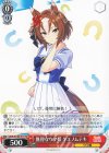 UMA/W106-T19 TD 無骨なウマ娘 ヤエノムテキ