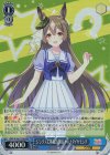  UMA/W106-T30R RRR ジンクスに挑むお嬢様 サトノダイヤモンド 