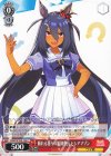  UMA/W106-102 C 頼れる我らの姐御寮長 ヒシアマゾン 