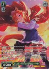  UMA/W106-047OFR OFR 偉大なるフォトグラフィーア テイエムオペラオー 