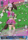  UMA/W106-134SP SP オールタイム・フィーバー アイネスフウジン(サイン入り) 