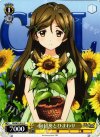 VR/W22-016 C 向日葵とひまわり
