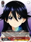 VR/W22-049 R 滅ぼす者 れい