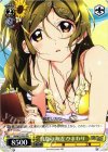 VR/W22-P05 PR 真夏の海辺 ひまわり
