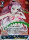 VS/W50-073S SR セットアップ! リンネ
