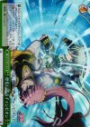 VS/W50-030R RRR 歴史に残るチャンピオン 