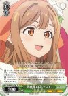 YHN/W111-T01 TD お仕事中 ハナマル