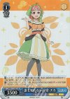 YHN/W111-087S SR 誰も知らない秘密 チカ