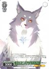 YHN/W111-P18 PR 今日を見守る。 ライラプス