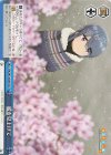YRC/W116-097 CR 桜を見上げて