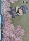 YRC/W116-097R RRR 桜を見上げて