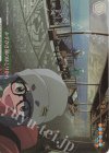 YRC/W116-026EX RRR+ みずがき湖のほとりから