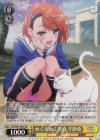 YYS/W61-004S SR めくるめく青春 千紗希