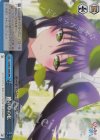  YYS/W61-098R RRR 瞳の中の私 