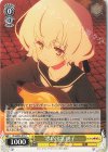 ZLS/W93-015 C 思い出話 純子