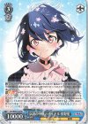  ZLS/W93-074 RR 伝説の平成のアイドル 水野愛 