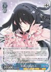 ZLS/W93-079 R 伝説の山田たえ