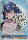  ZLS/W93-074SP SP 伝説の平成のアイドル 水野愛(サイン入り) 