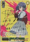 ZLS/W93-025SSP SSP 水野 愛(サイン入り)