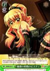 ZM/W03-045 U 魅惑の妖精のビスチェ