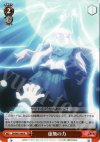 ZM/W03-068 R 虚無の力
