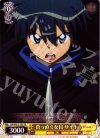 ZM/WE13-T02 TD 真っ直ぐな目 サイト