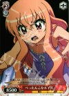 ZM/WE13-T10 TD ぺったんこなルイズ