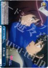 ZM/WE13-45 CC 真実の鏡