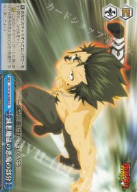 新弾レビュー&デッキ紹介 FAIRY TAIL 100年クエスト 8門 | トレカの