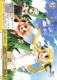 なのは20th フェイト軸8チョイス | トレカの買取・通販ならカード