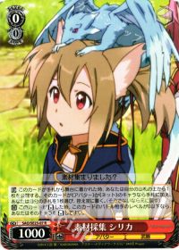 R素材採集 シリカ
