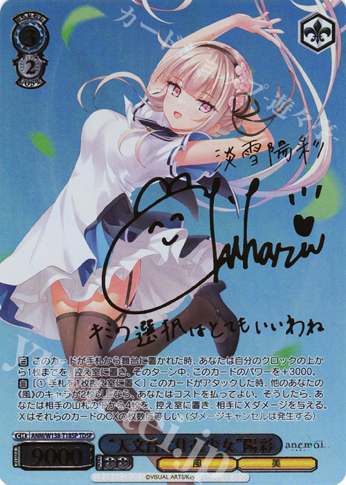 n様 TDSP “天文台に住む少女”陽彩(サイン入り) 販売 | anemoi | ヴァイス