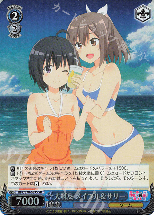 SR 大親友 メイプル&サリー | 買取 | 痛いのは嫌なので防御力に極振りしたいと思います。 | ヴァイスシュヴァルツ