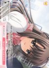  OS10/R10-075 C 私もやっぱり乙女なのだ 