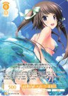 OS11/R11-001 RR 血統書付きロックンローラー猫 景子