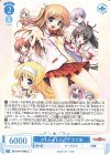 OS13/R13-094 C ストレイトシープ つぐみ