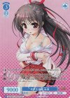 OS13/R13-078OFR OFR さざなみ椿 玉藻