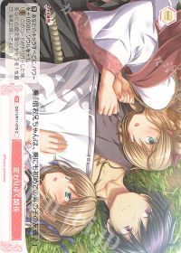 デッキ紹介 8扉Purple | トレカの買取・通販ならカードショップ -遊々亭-