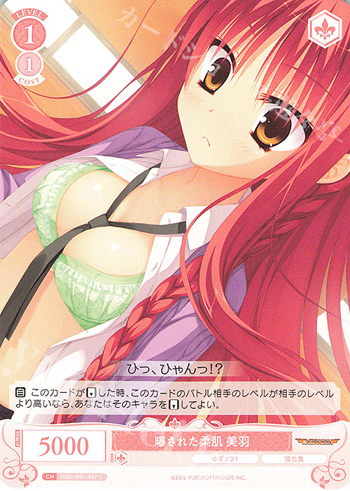 C 曝された柔肌 美羽 | 販売 | ゆずソフト | ヴァイスシュヴァルツロゼ