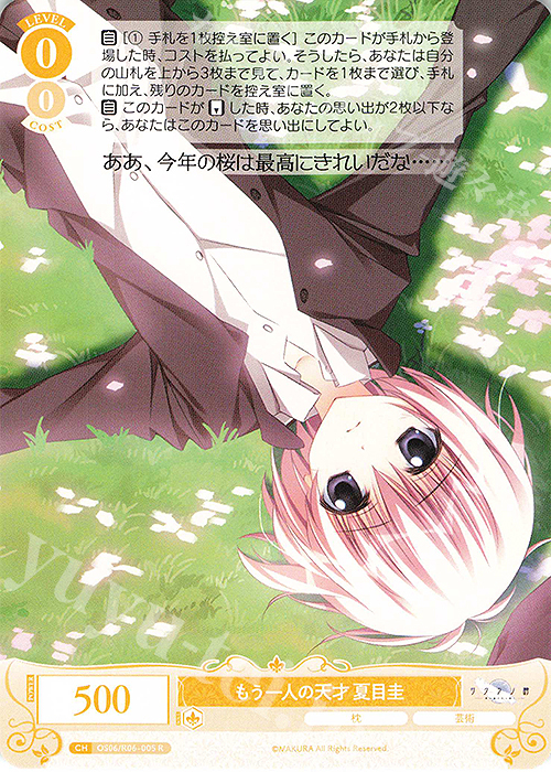 R もう一人の天才 夏目圭 | 販売 | 枕 | ヴァイスシュヴァルツロゼ