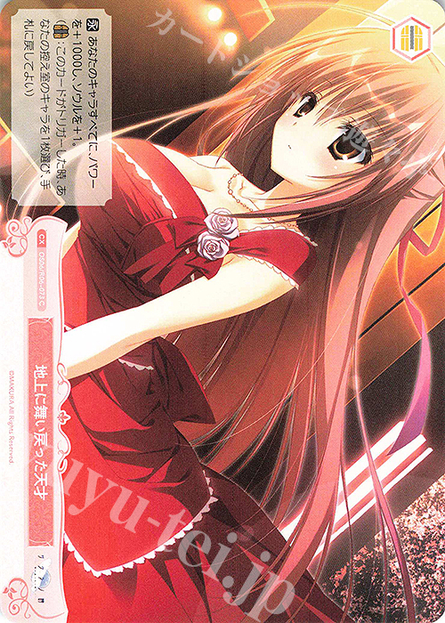 C 地上に舞い戻った天才 | 販売 | 枕 | ヴァイスシュヴァルツロゼ