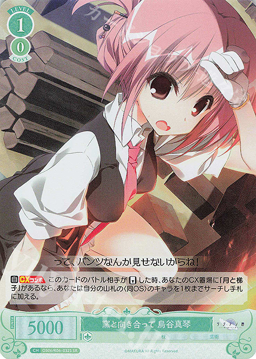 SR 窯と向き合って 鳥谷真琴 | 販売 | 枕 | ヴァイスシュヴァルツロゼ