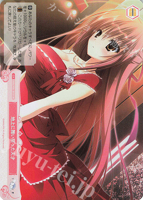 SR 地上に舞い戻った天才 | 販売 | 枕 | ヴァイスシュヴァルツロゼ