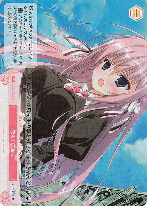 SR 教え子の膝枕 | 販売 | 枕 | ヴァイスシュヴァルツロゼ