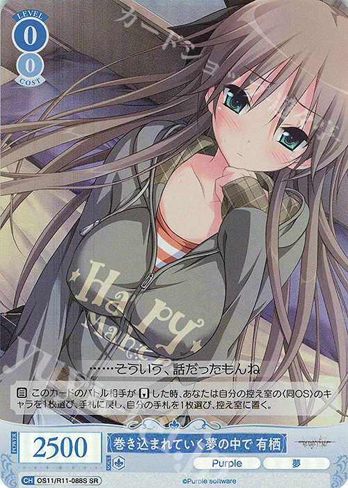 SR 巻き込まれていく夢の中で 有栖 販売 | Purple software | ヴァイス