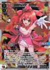  SPDi09-01 SP 頂点へ一歩 ヒラナ 