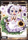 WDK07-Y16 ST 羅植 パンジー