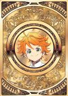  WDK11-CO-01 CO コインカード(エマ) 