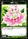  WX02-063 C 羅植 ハス 